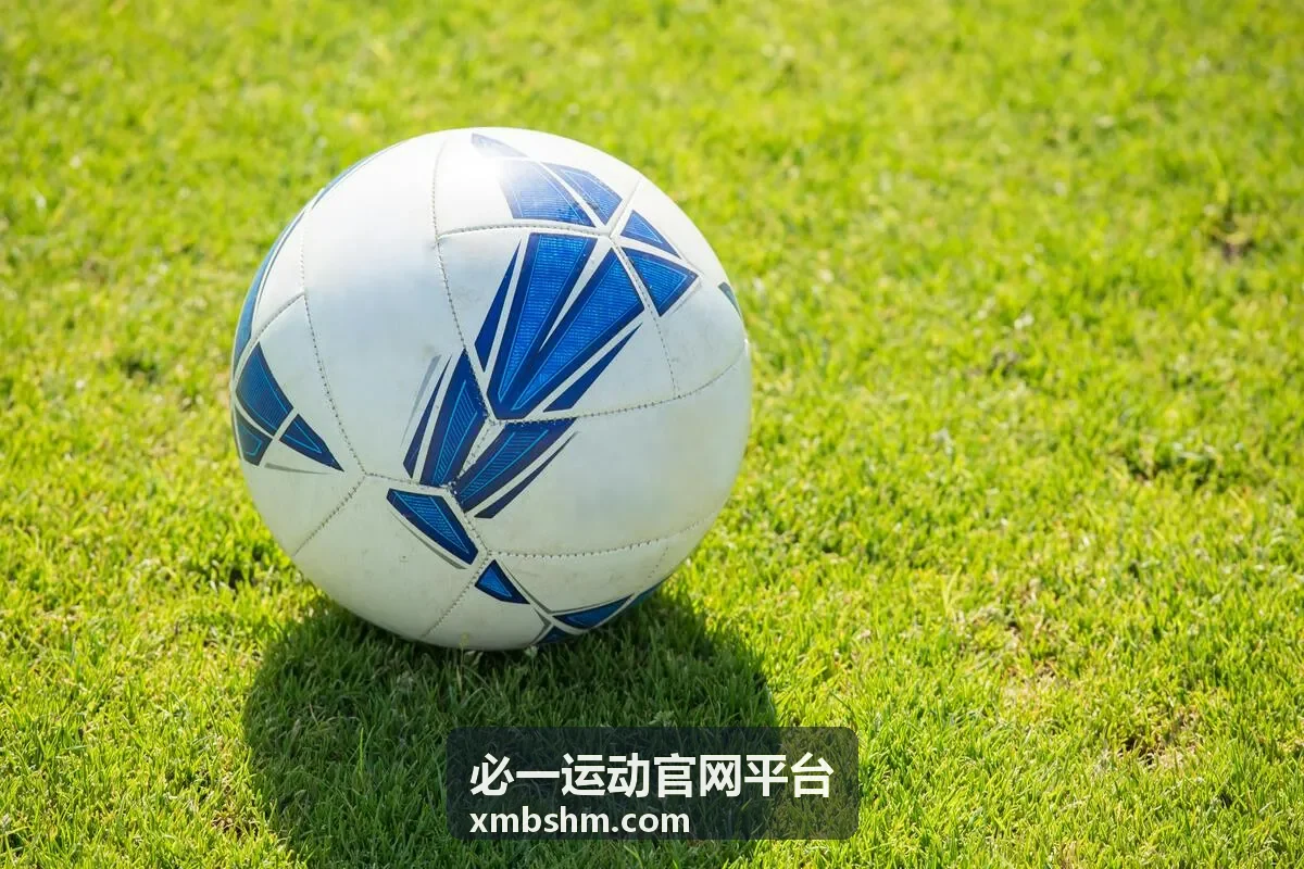 必一运动官网平台专属课程预约权益说明配图